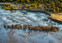 壩上之旅內蒙古(下)