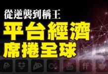 從逆襲到稱王 平台經濟席捲全球