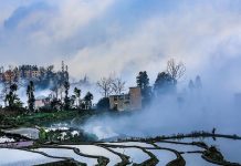 謎樣雲南有元陽 阡陌交錯如仙境(上)