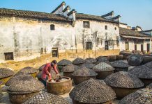 游埠古鎮 麗水(下)