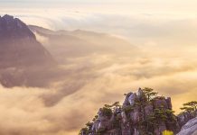 前山險後山秀 萬樹銀花遍地開 黃山(中)