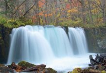 日本東北 奧入瀨 秋季賞楓趣