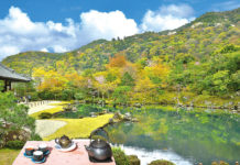 在世界的角落喝茶