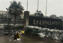 私募制度埋地雷 天宇疑似假賣殼真套利? 小股民血本無歸