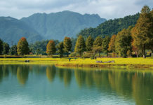 金秋追楓去 福壽山