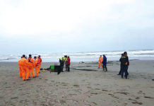 恐怖的浪漫約定 謝沅瑾爆 殉情 內幕真相