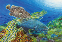 全台獨一無二板雕蠟彩 王建民顛覆蠟筆的想像