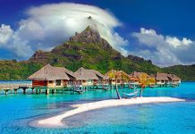 加勒比海的璀璨鑽石 王金祥讓華人認識波多黎各