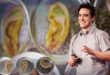 神奇的科學研究!從蘋果耳朵到高科技植物人