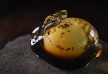 飲食文化 月兔內的宇宙