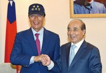 泛藍勢力團結 新黨挺韓 親民關鍵 妙天禪師憂民護國 世界大同 捨我其誰