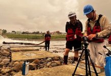 碧潭堰為小毛蟹繫上洄家的捷徑