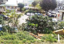 揭開塵封已久的秘密 七虎球場的繁華與沒落