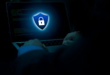 詐騙「菊」然是這樣!打詐臺北隊參戰菊展實境解謎 (圖/示意圖)