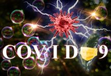 1012》臺灣再現本土0例確診與死亡 例境外移入4例染疫