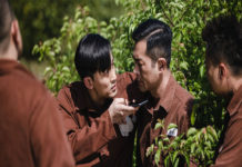 古天樂主演P風暴 臥底監獄打貪