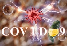 1013》臺灣再現本土0例確診與死亡 境外移入4例染疫