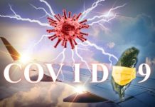 1014》臺灣再現本土0例確診與死亡 境外移入8例染疫