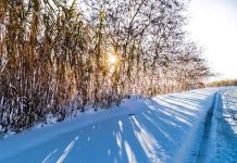 「追雪必勝懶人包」悠遊追雪必看攻略! (圖/示意圖)