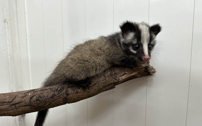 146f2715-6715-4fc6-9b01-cc303ee33576 拷貝 圖/台北市政府提供