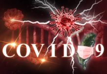 解封有望?一次搞懂分區降級羅生門專家怎麼說