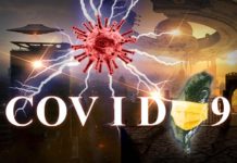 1015》臺灣再現本土0例確診與死亡 境外移入4例染疫