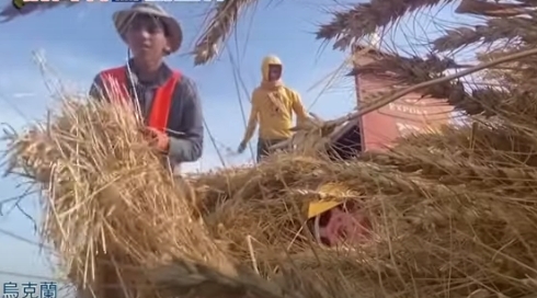 2200萬噸烏克蘭糧食出口遇阻 美官員：德國藉鐵路相助