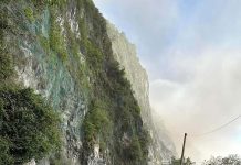 獨家快訊/地震災害損失 可減免綜合所得稅(莊嘉宏) 圖/網友提供