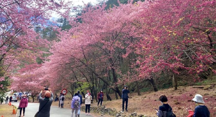 1704172638750_copy_1600x866