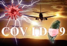 1017》臺灣再現本土0例確診與死亡 境外移入1例染疫