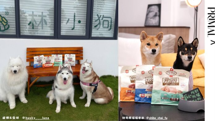 1764567182961 人氣毛孩齊聚宜蘭「林小狗精品旅店」試吃派莫凍乾主食磚,大口享受旅程中的超滿足美味。(圖/盧娜&雪球、財哥跟幅幅老弟IG)