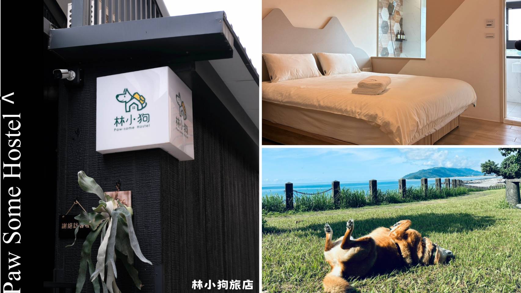 宜蘭「林小狗精品旅店」提供毛孩專屬客房與放電草地,打造最療癒的寵物度假體驗。(圖/業者提供)