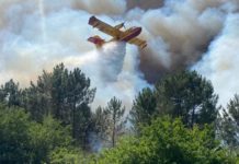 西歐第二波熱浪強襲 法國西南大火北延燒至布列塔尼