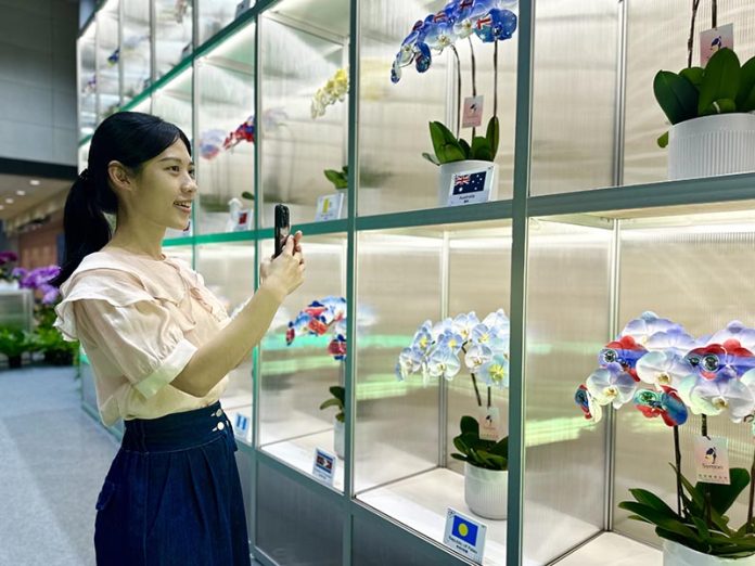 2 拷貝 圖/台北市政府提供