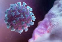 變異病毒強襲新藥戰再加碼 美國增投32億元資助生技藥廠研發