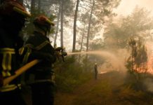 馬克宏將赴森林火災地區視察 英國高溫飆升40.3度