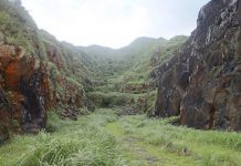 廢煙道有毒禁入 水金九秘境等你來探尋