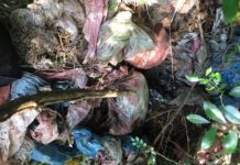 一銀盜領案 嫌犯安德魯藏內湖登山步道2000萬順利起出獲