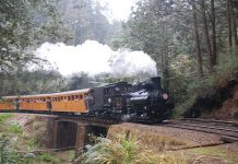 取印度經驗 盼助阿里山森林鐵路申登世界文化遺產鐵路