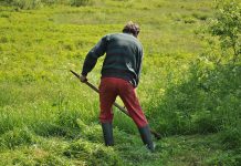 熱到翻!炎日下工作 5招預防熱傷害