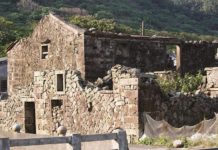 冬季在東北角賞鳥又觀星 讓你留下難忘寒假