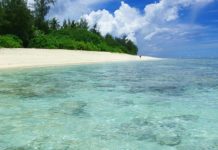 入境關島免簽表格少寫一張 上網填即可