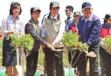 TOYOTA一車一樹 減緩濁水溪揚塵 提升居民環境品質