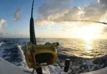 到關島包船出海釣魚 讓你變身天才小釣手