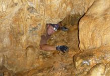 五月天到了 來關島享受野遊趣