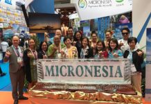 關島自駕遊正夯,AVIS推出最高七折優惠 關島觀光局官方Line@正式啟動,首波主打關、塞、帛夢幻島嶼假期大獎