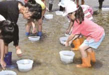 升官海生研究中心主任 黃丁士推流放梭子蟹