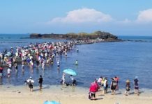 全台30大經典小鎮 苗栗苑裡奪魁