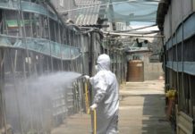 口蹄疫21年惡夢 養豬業盼齊心防非洲豬瘟