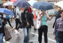 東北季風增強 北台灣入夜濕冷